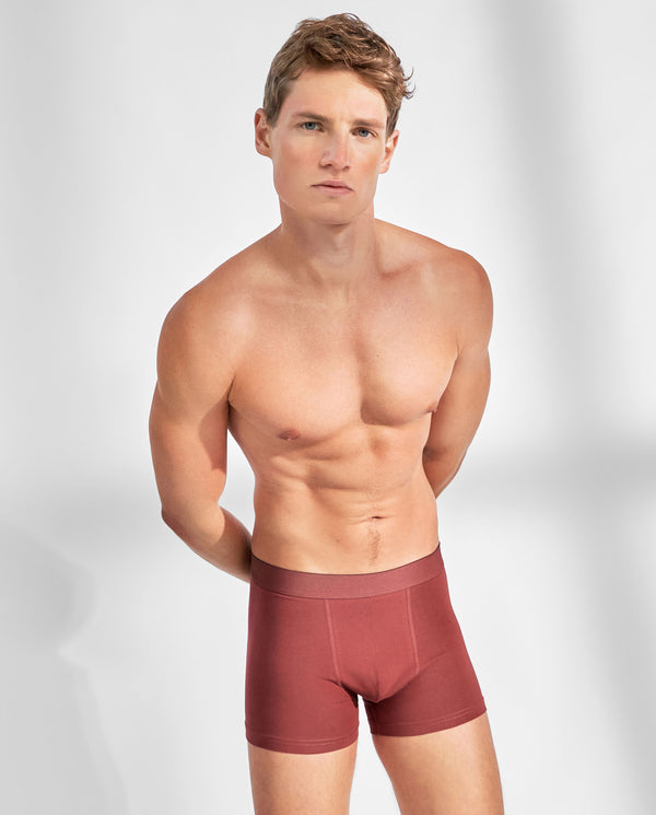 BOXER BRIEF burgundy 3-Pack by Bread&Boxers